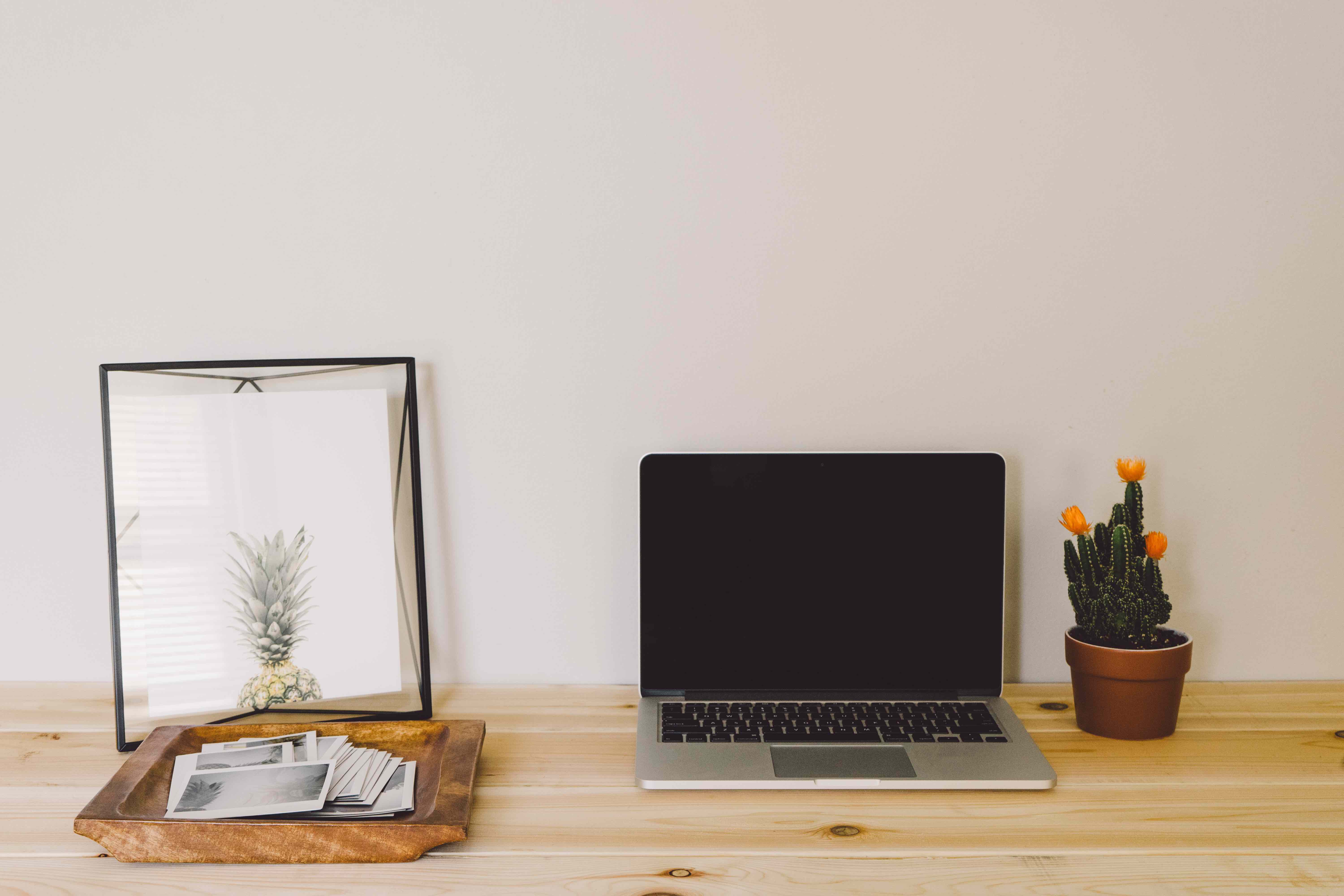 desk with succulent plants and a macbook
