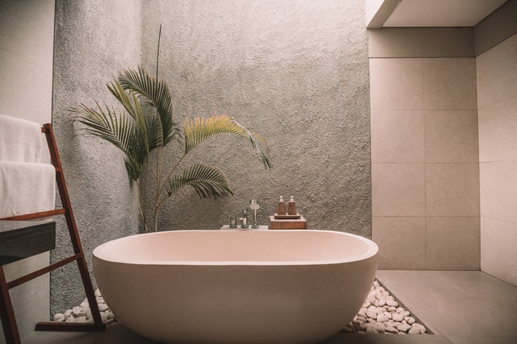 bathroom tub with a palm plant