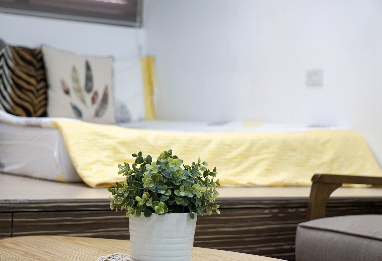 plant decor
